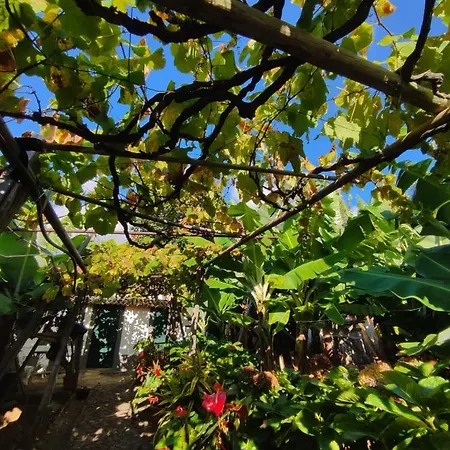 Quinta Sao Goncalo *